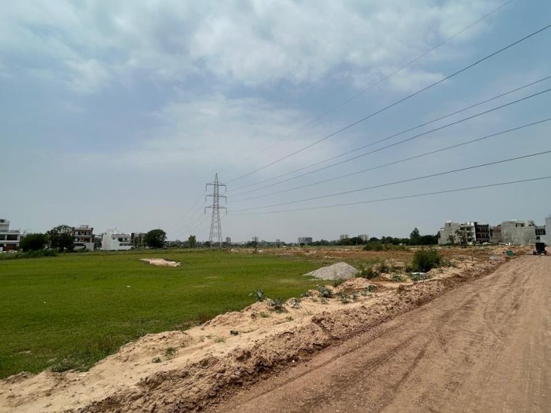 Plots in tricity
