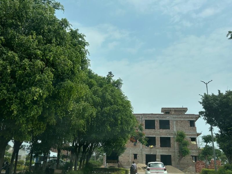 New Plotting Launch in Gulmohar Sector 116, Mohali