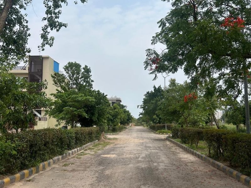 New Plotting Launch in Gulmohar Sector 116, Mohali