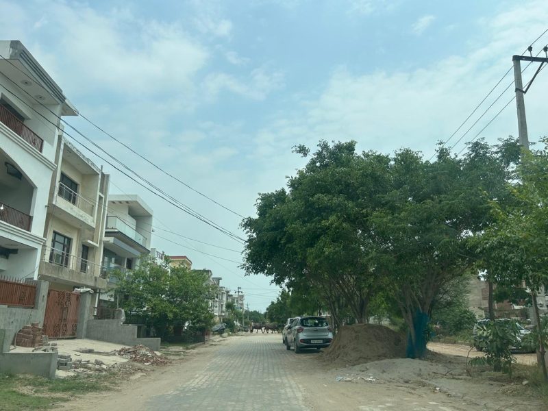New Plotting Launch in Gulmohar Sector 116, Mohali
