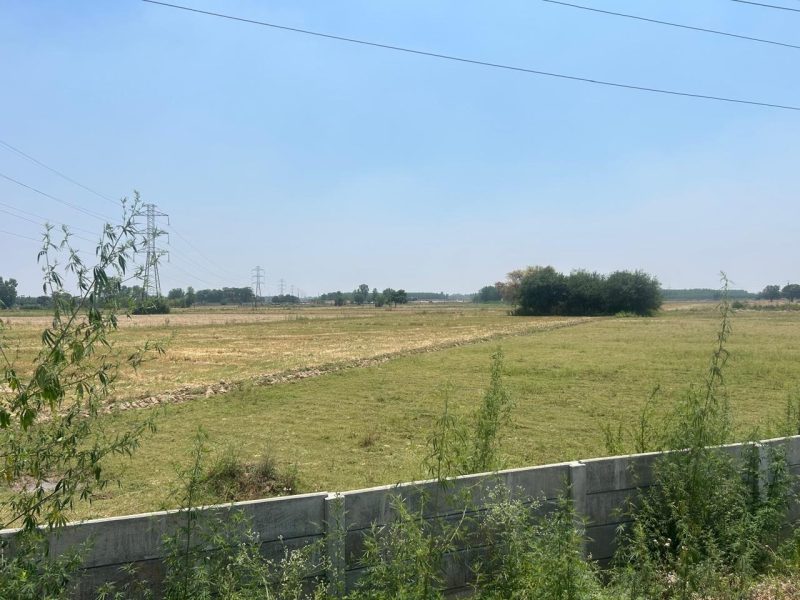 Residential plot mohali