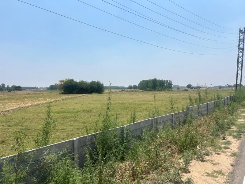 Residential plot mohali